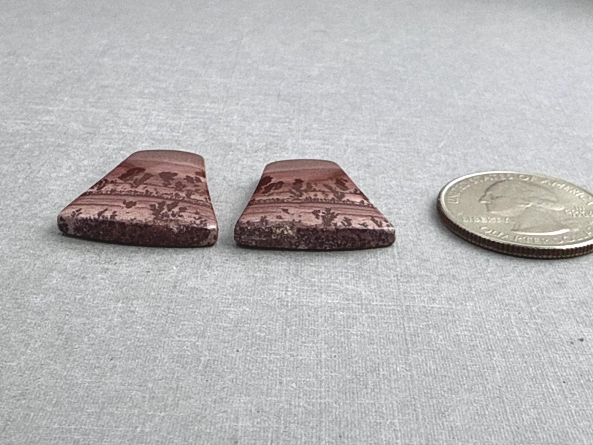 New Mexico Apache Sage Rhyolite Pair | 23x21x4 | Natural Cabochon | RH116 - Gem Enthusiast