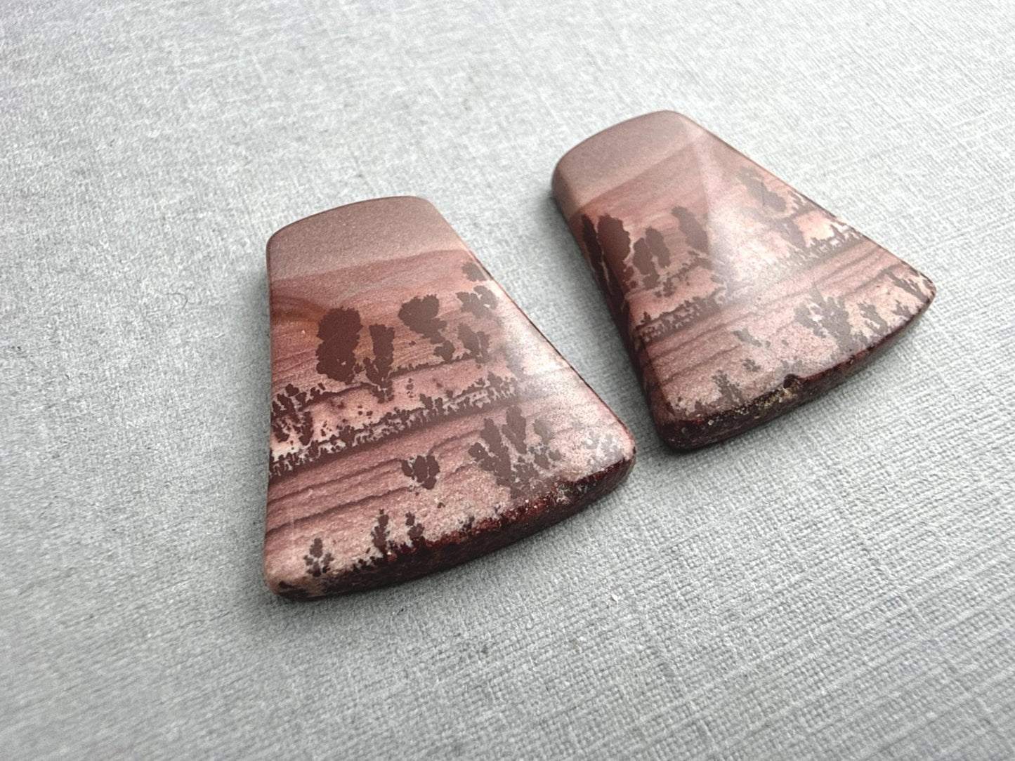 New Mexico Apache Sage Rhyolite Pair | 23x21x4 | Natural Cabochon | RH116 - Gem Enthusiast