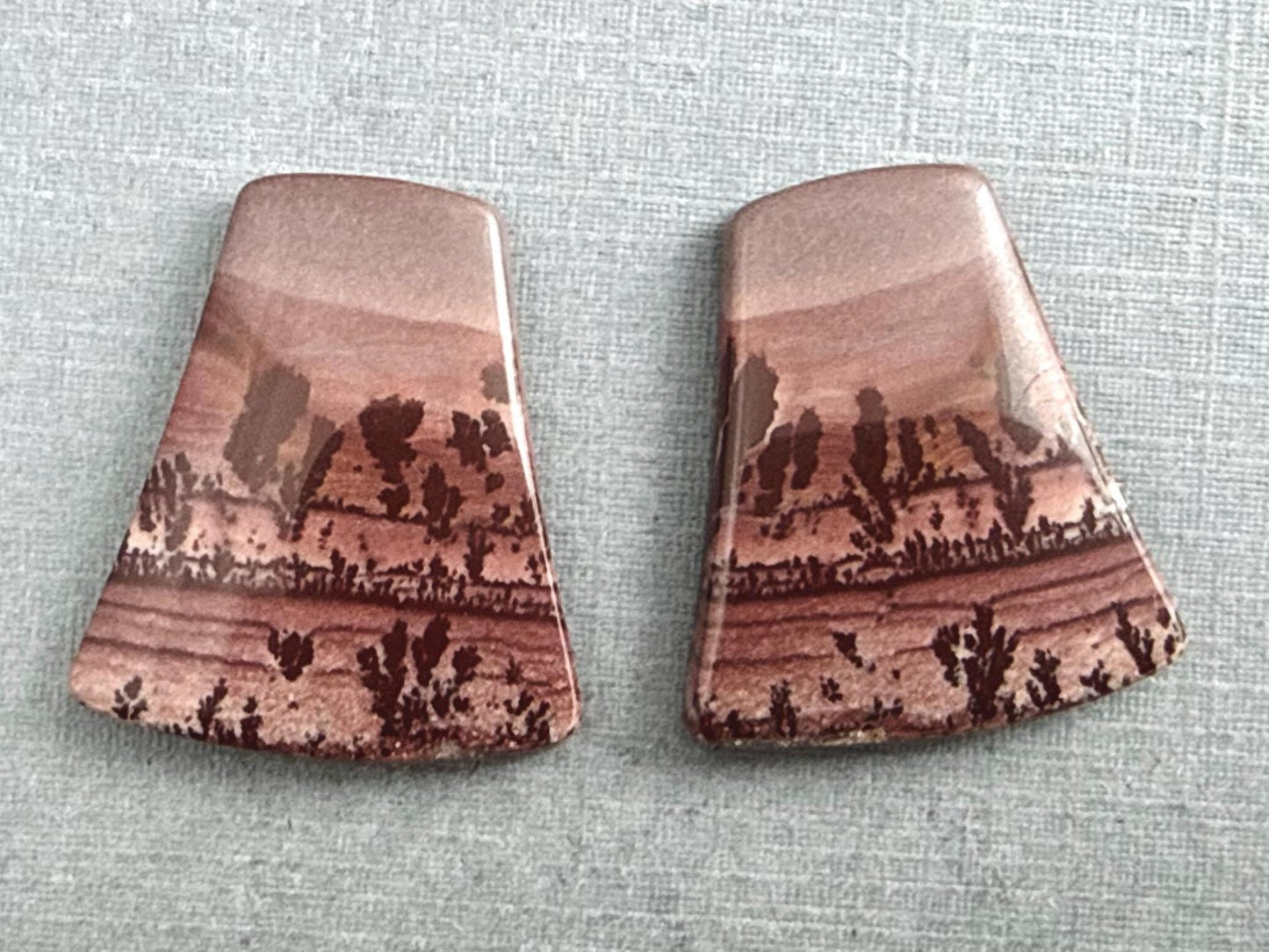 New Mexico Apache Sage Rhyolite Pair | 23x21x4 | Natural Cabochon | RH116 - Gem Enthusiast