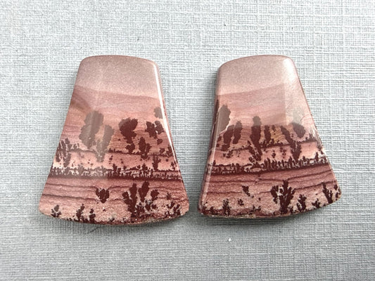 New Mexico Apache Sage Rhyolite Pair | 23x21x4 | Natural Cabochon | RH116 - Gem Enthusiast