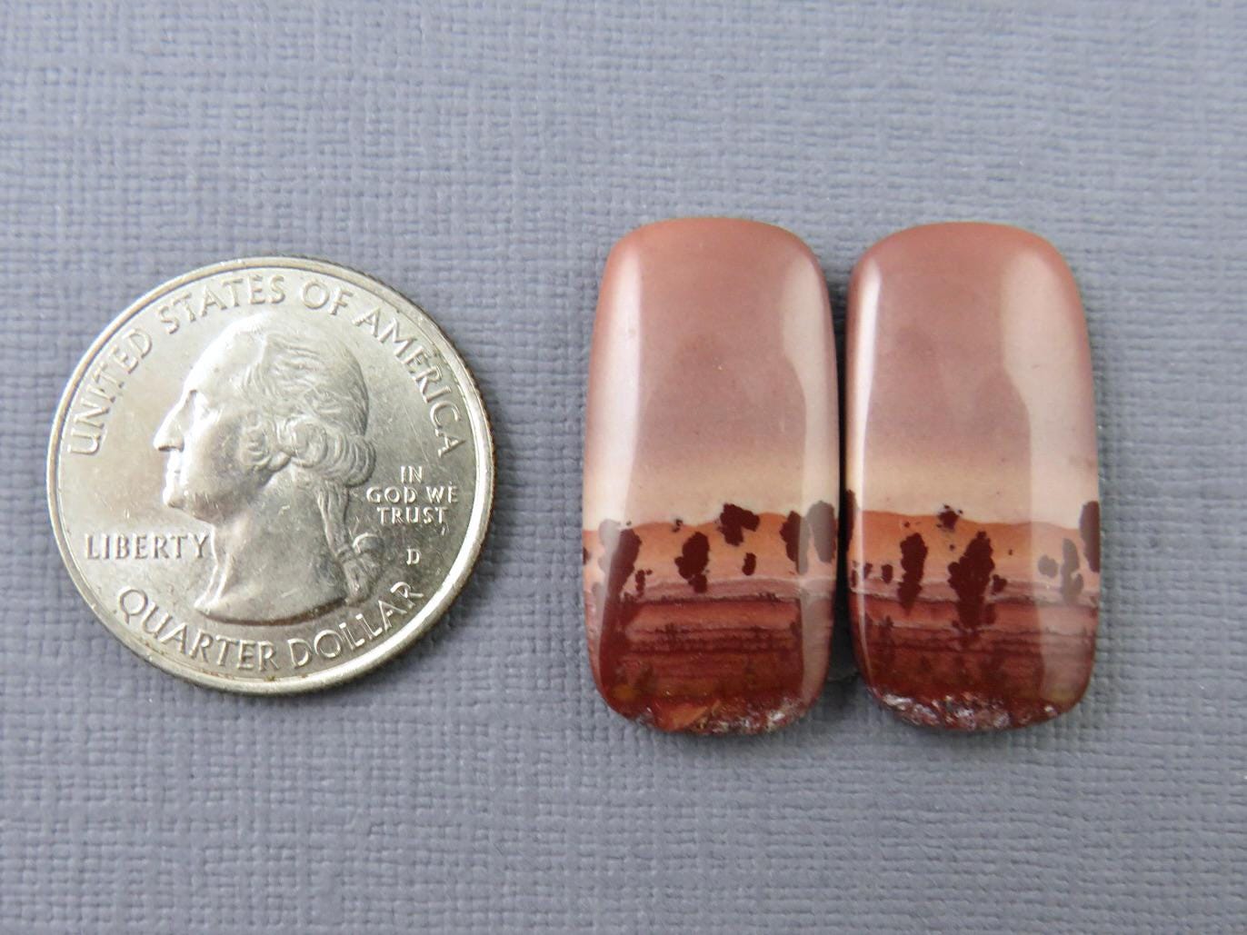 New Mexico Apache Sage Rhyolite Pair | 38x24x4 | Natural Cabochon | RH112 - Gem Enthusiast