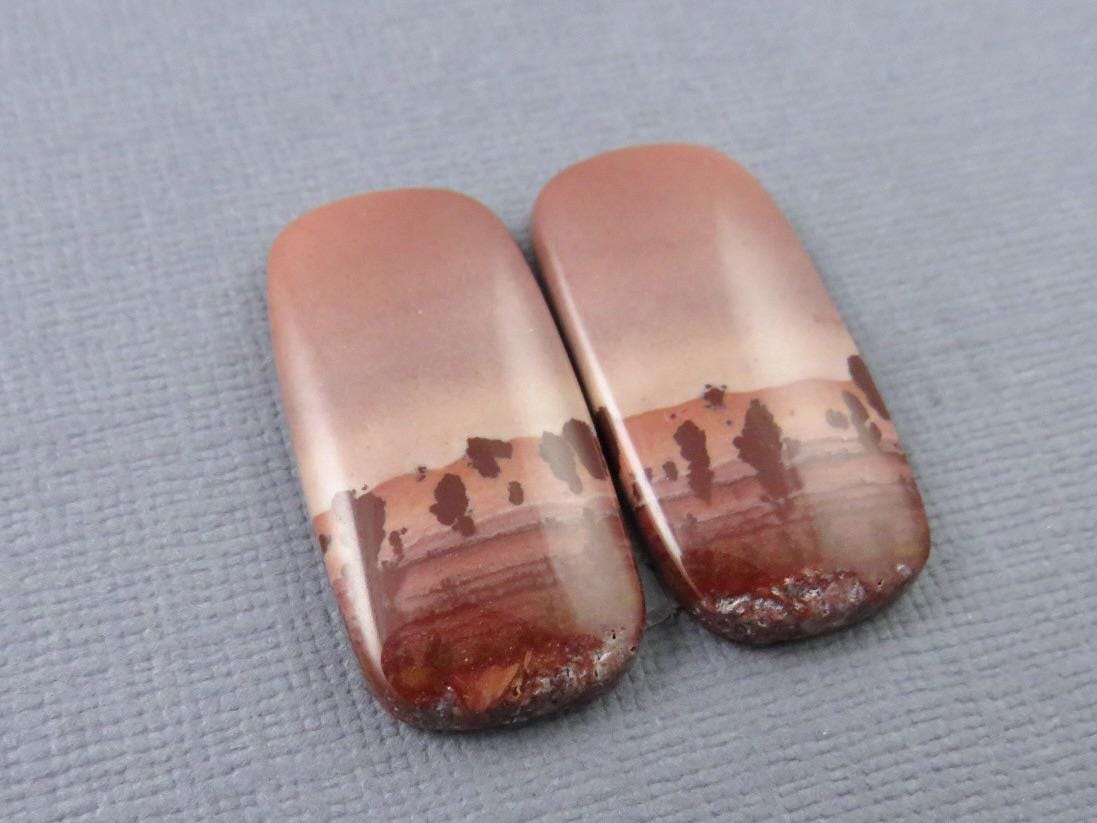 New Mexico Apache Sage Rhyolite Pair | 38x24x4 | Natural Cabochon | RH112 - Gem Enthusiast