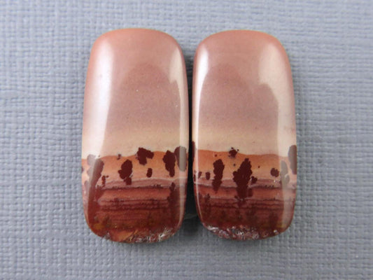 New Mexico Apache Sage Rhyolite Pair | 38x24x4 | Natural Cabochon | RH112 - Gem Enthusiast