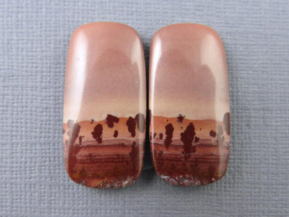 New Mexico Apache Sage Rhyolite Pair | 38x24x4 | Natural Cabochon | RH112 - Gem Enthusiast