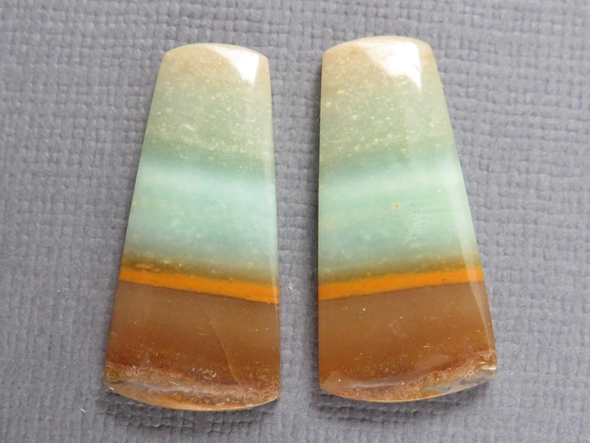 Opalized Wood Cabochons | 2 Pair Lot | 15.8–24mm | Indonesia | WO257 - Gem Enthusiast
