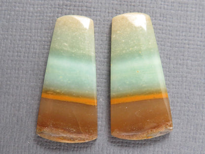 Opalized Wood Cabochons | 2 Pair Lot | 15.8–24mm | Indonesia | WO257 - Gem Enthusiast