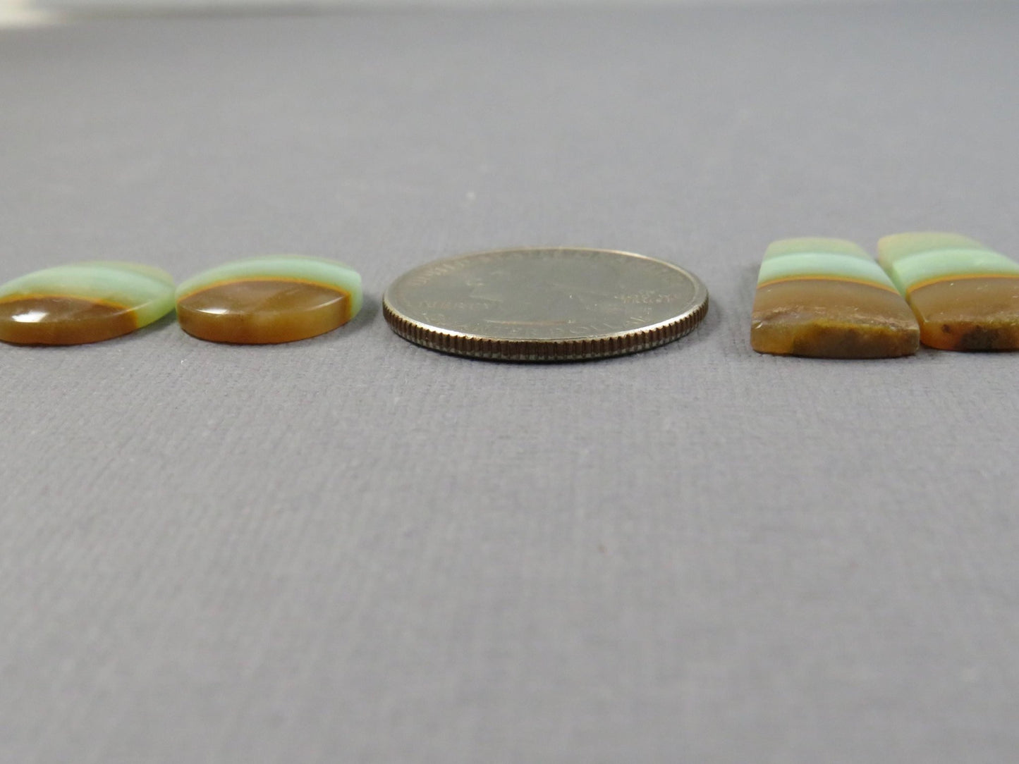 Opalized Wood Cabochons | 2 Pair Lot | 15.8–24mm | Indonesia | WO257 - Gem Enthusiast