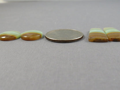 Opalized Wood Cabochons | 2 Pair Lot | 15.8–24mm | Indonesia | WO257 - Gem Enthusiast