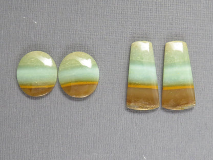 Opalized Wood Cabochons | 2 Pair Lot | 15.8–24mm | Indonesia | WO257 - Gem Enthusiast