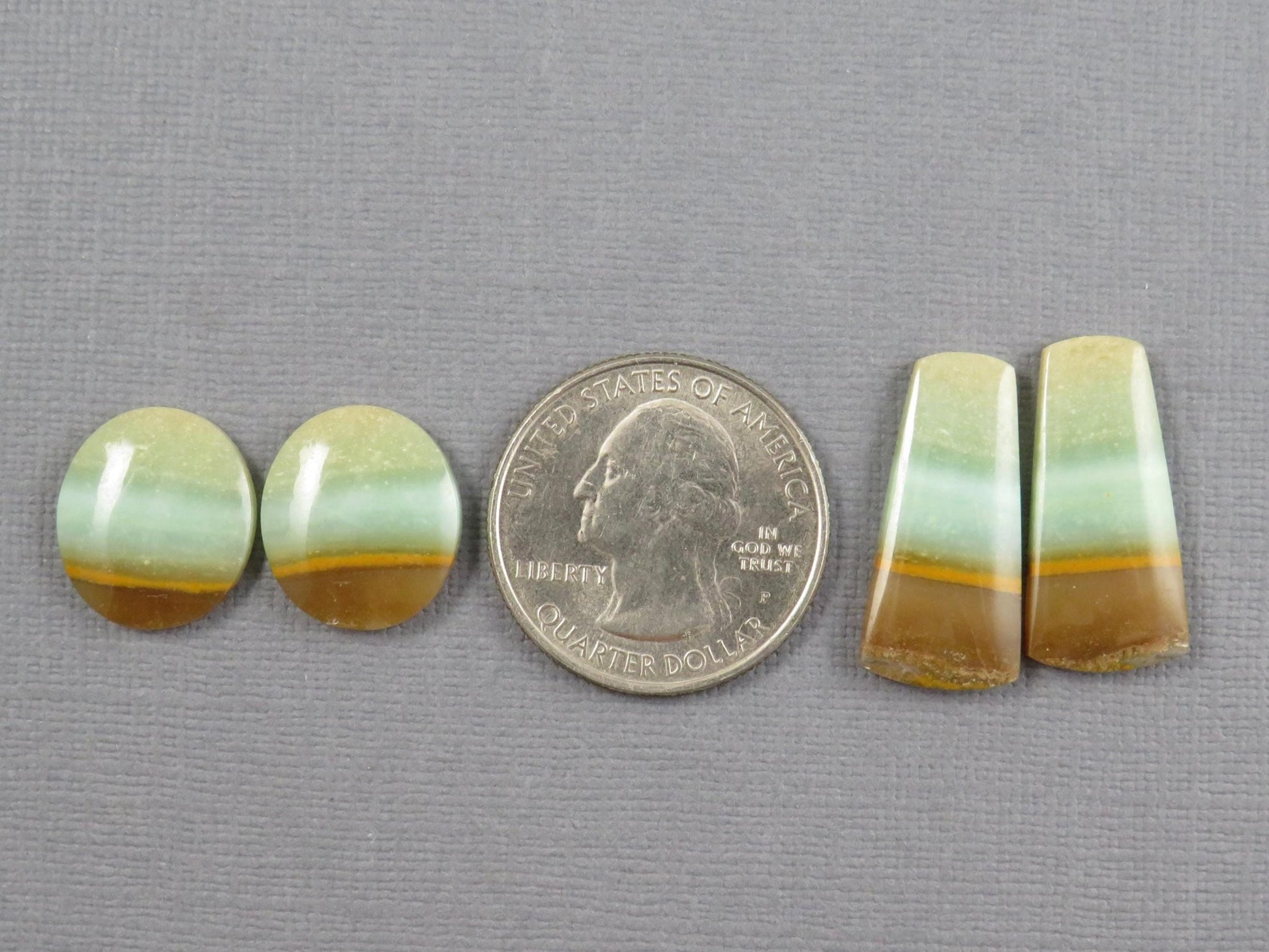 Opalized Wood Cabochons | 2 Pair Lot | 15.8–24mm | Indonesia | WO257 - Gem Enthusiast