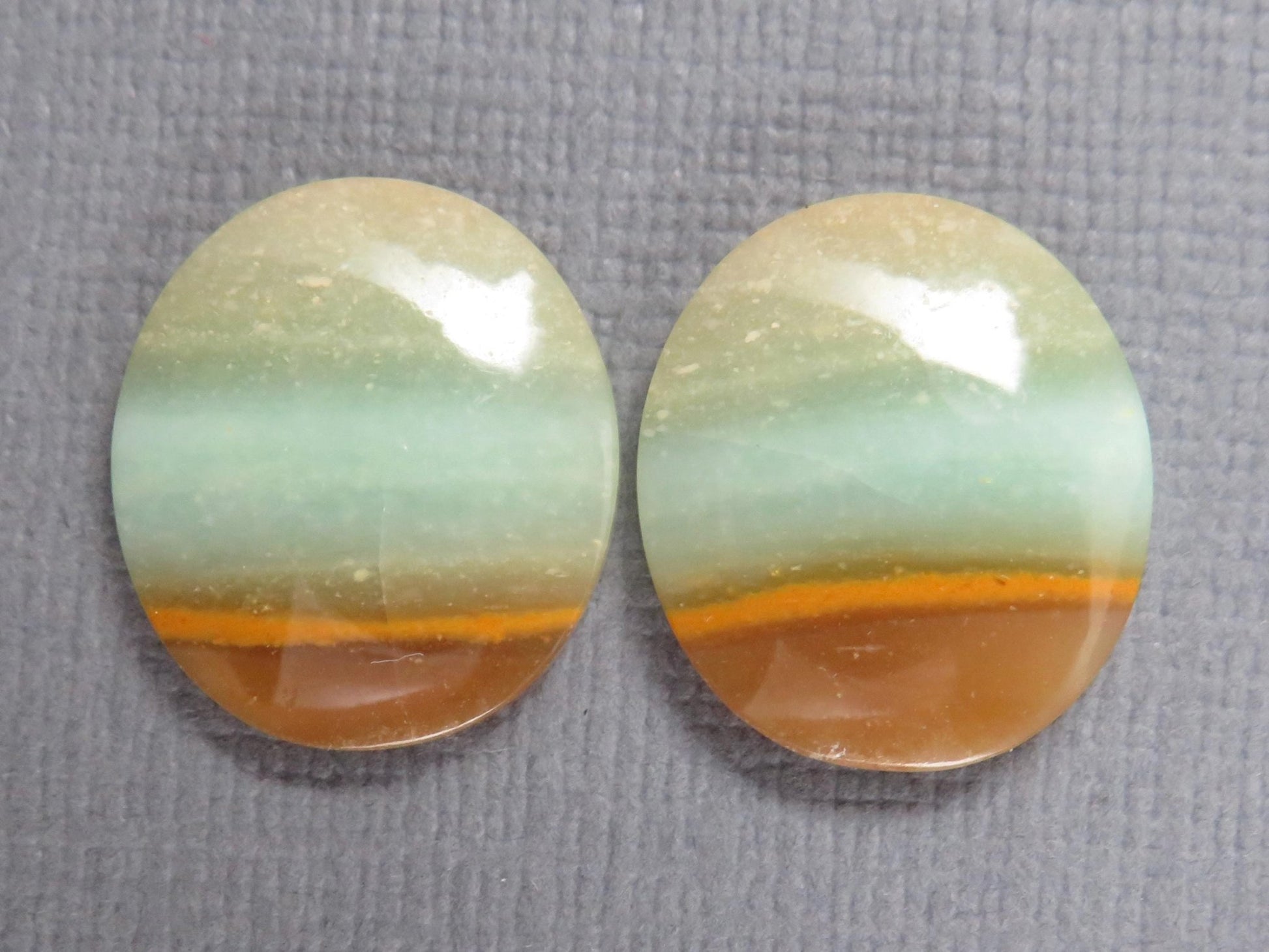 Opalized Wood Cabochons | 2 Pair Lot | 15.8–24mm | Indonesia | WO257 - Gem Enthusiast