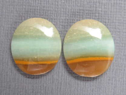 Opalized Wood Cabochons | 2 Pair Lot | 15.8–24mm | Indonesia | WO257 - Gem Enthusiast