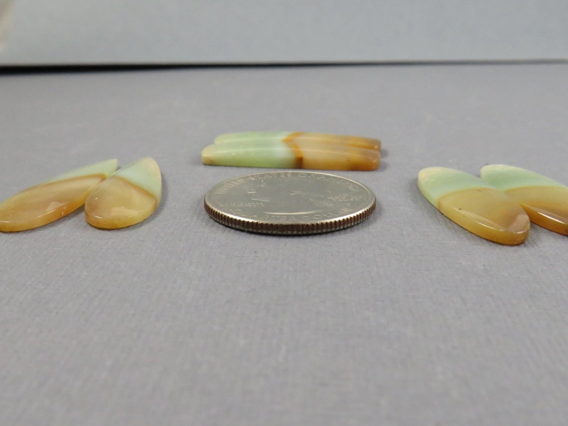 Opalized Wood Pair Lot | 29–32mm | 3 pairs | Indonesia | WO256 - Gem Enthusiast