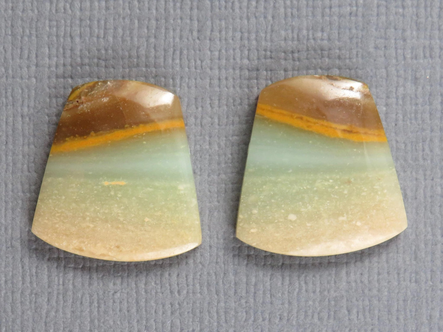 Opalized Wood Pair | Petrified Wood Opal | 15.5x14.5mm, 10.5ct | Indonesia | WO260 - Gem Enthusiast