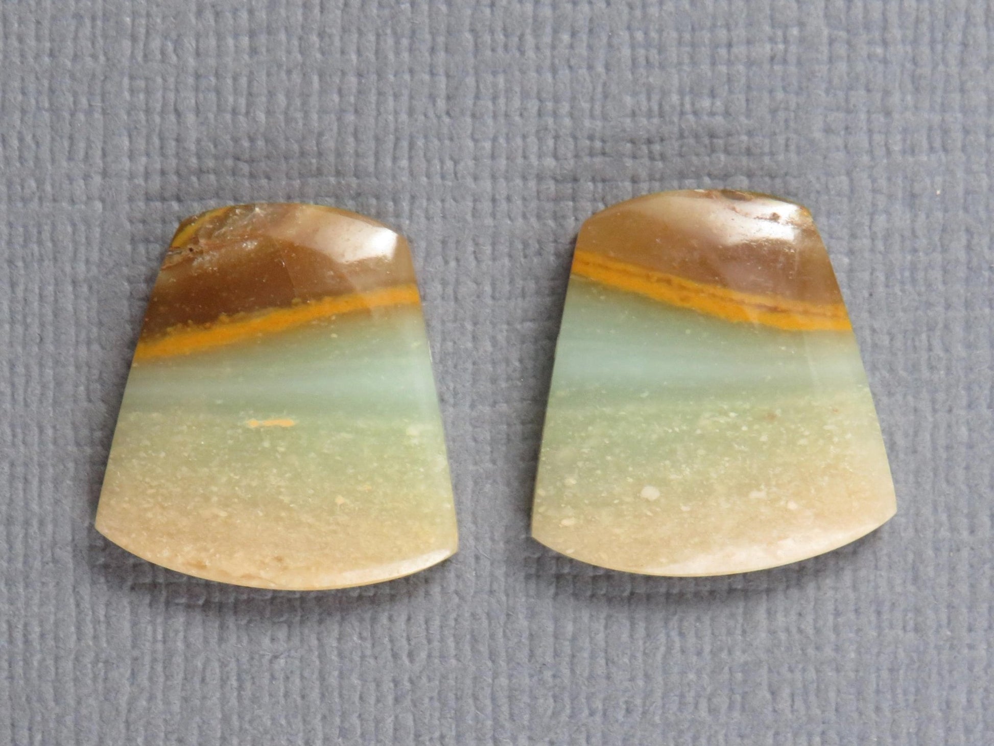 Opalized Wood Pair | Petrified Wood Opal | 15.5x14.5mm, 10.5ct | Indonesia | WO260 - Gem Enthusiast