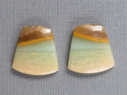 Opalized Wood Pair | Petrified Wood Opal | 15.5x14.5mm, 10.5ct | Indonesia | WO260 - Gem Enthusiast