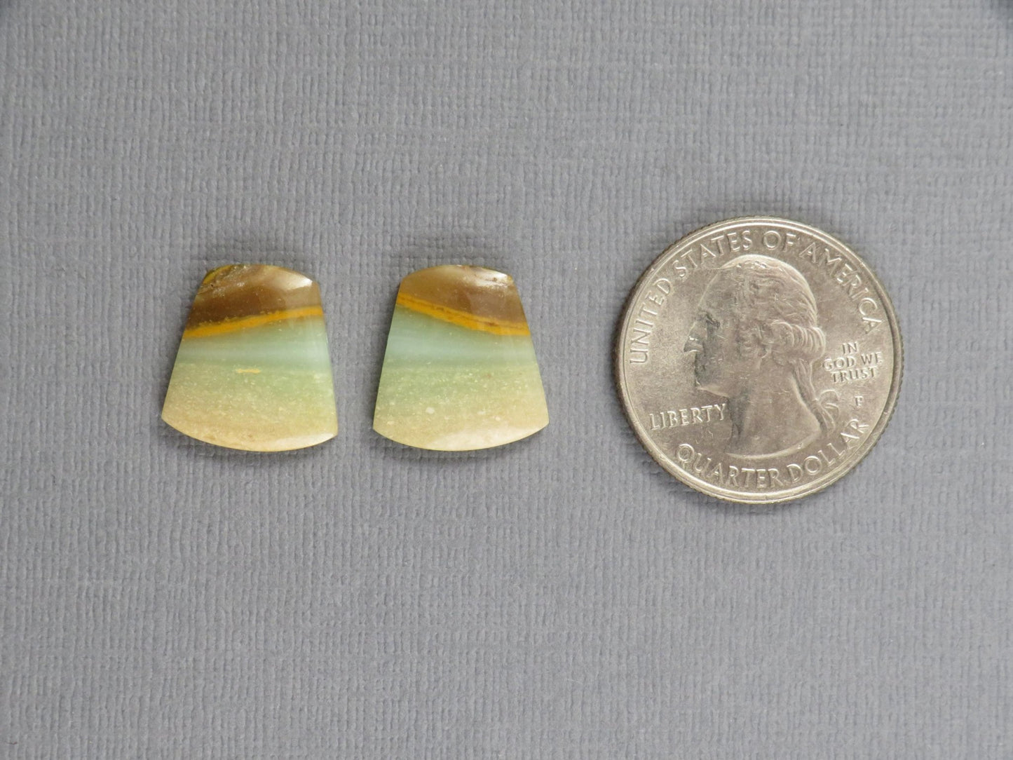 Opalized Wood Pair | Petrified Wood Opal | 15.5x14.5mm, 10.5ct | Indonesia | WO260 - Gem Enthusiast