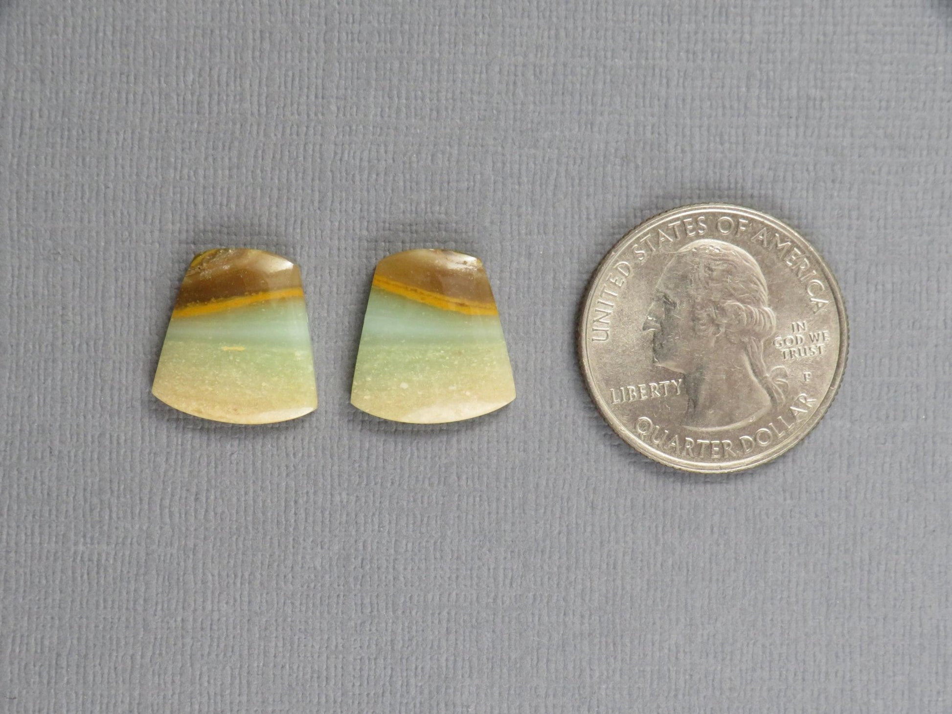 Opalized Wood Pair | Petrified Wood Opal | 15.5x14.5mm, 10.5ct | Indonesia | WO260 - Gem Enthusiast