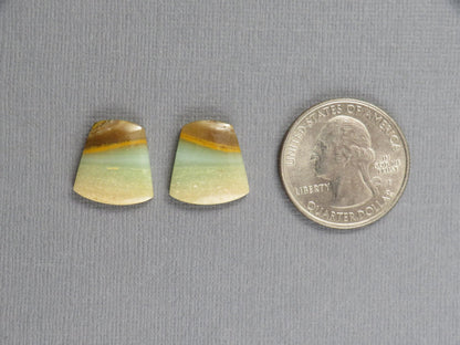 Opalized Wood Pair | Petrified Wood Opal | 15.5x14.5mm, 10.5ct | Indonesia | WO260 - Gem Enthusiast
