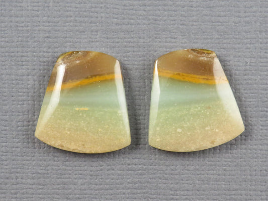 Opalized Wood Pair | Petrified Wood Opal | 15.5x14.5mm, 10.5ct | Indonesia | WO260 - Gem Enthusiast
