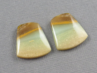 Opalized Wood Pair | Petrified Wood Opal | 15.5x14.5mm, 10.5ct | Indonesia | WO260 - Gem Enthusiast