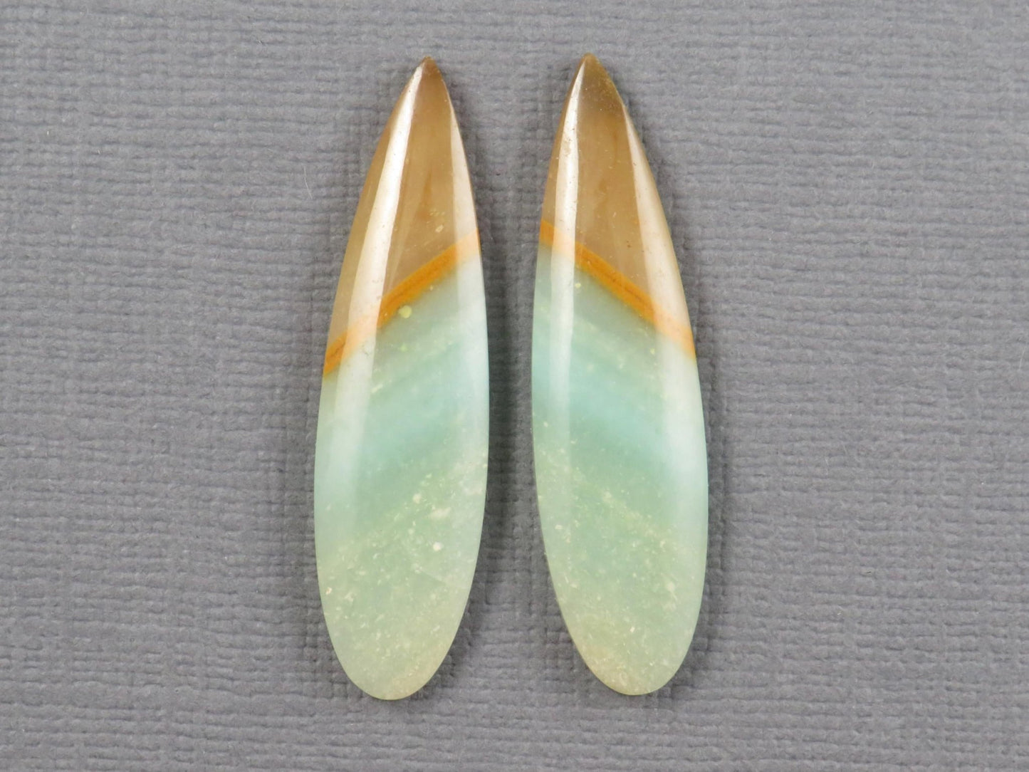 Opalized Wood Pair | Petrified Wood Opal | 35x9mm, 13.9ct | Indonesia | WO258 - Gem Enthusiast