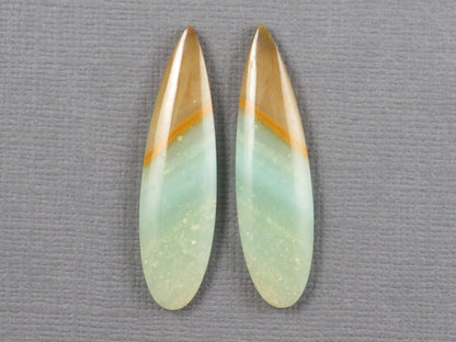 Opalized Wood Pair | Petrified Wood Opal | 35x9mm, 13.9ct | Indonesia | WO258 - Gem Enthusiast