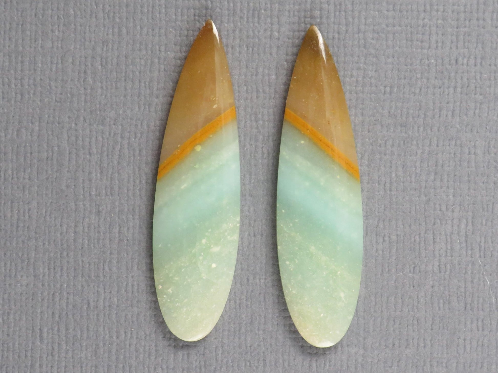 Opalized Wood Pair | Petrified Wood Opal | 35x9mm, 13.9ct | Indonesia | WO258 - Gem Enthusiast