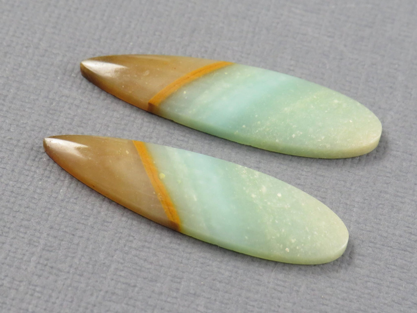 Opalized Wood Pair | Petrified Wood Opal | 35x9mm, 13.9ct | Indonesia | WO258 - Gem Enthusiast