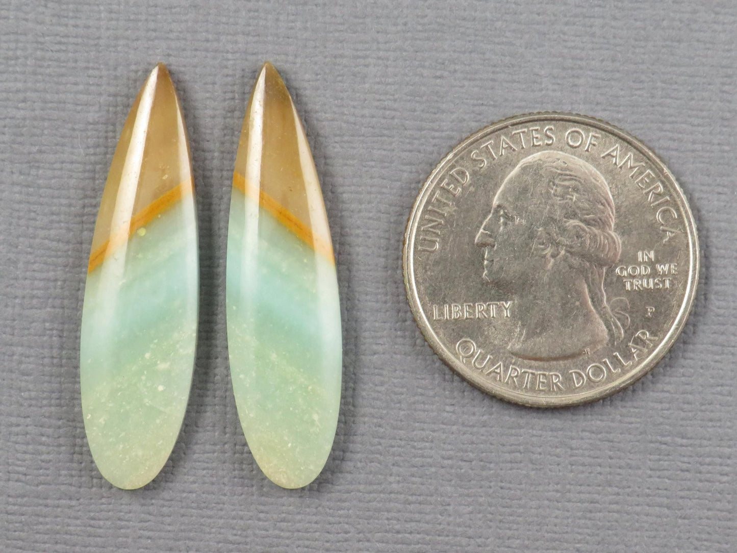 Opalized Wood Pair | Petrified Wood Opal | 35x9mm, 13.9ct | Indonesia | WO258 - Gem Enthusiast