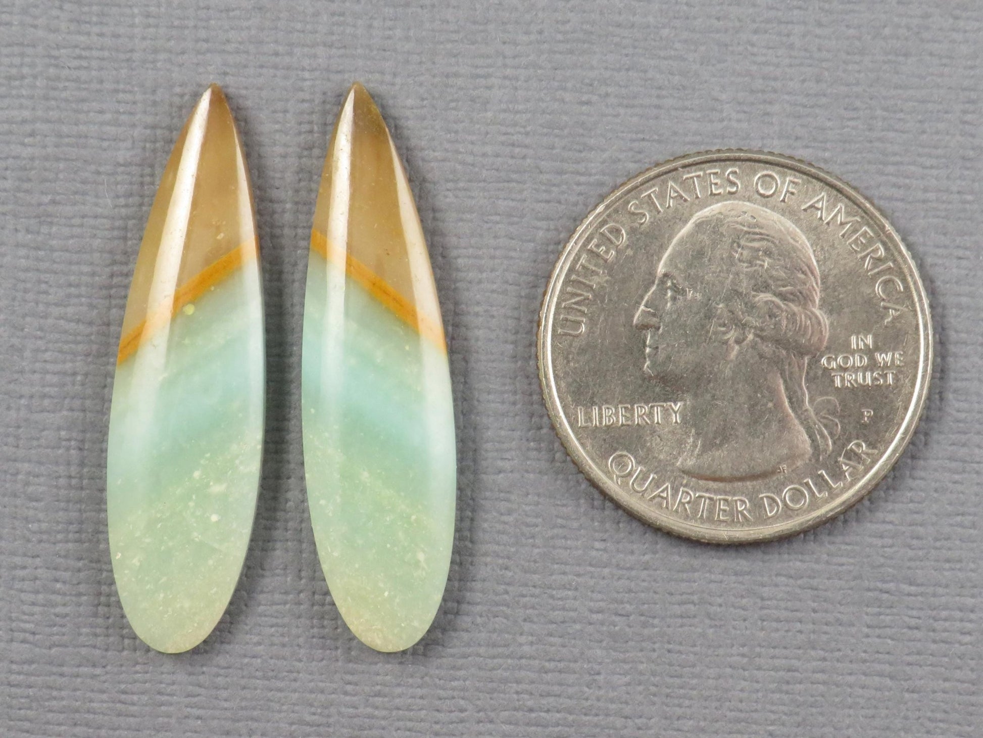 Opalized Wood Pair | Petrified Wood Opal | 35x9mm, 13.9ct | Indonesia | WO258 - Gem Enthusiast