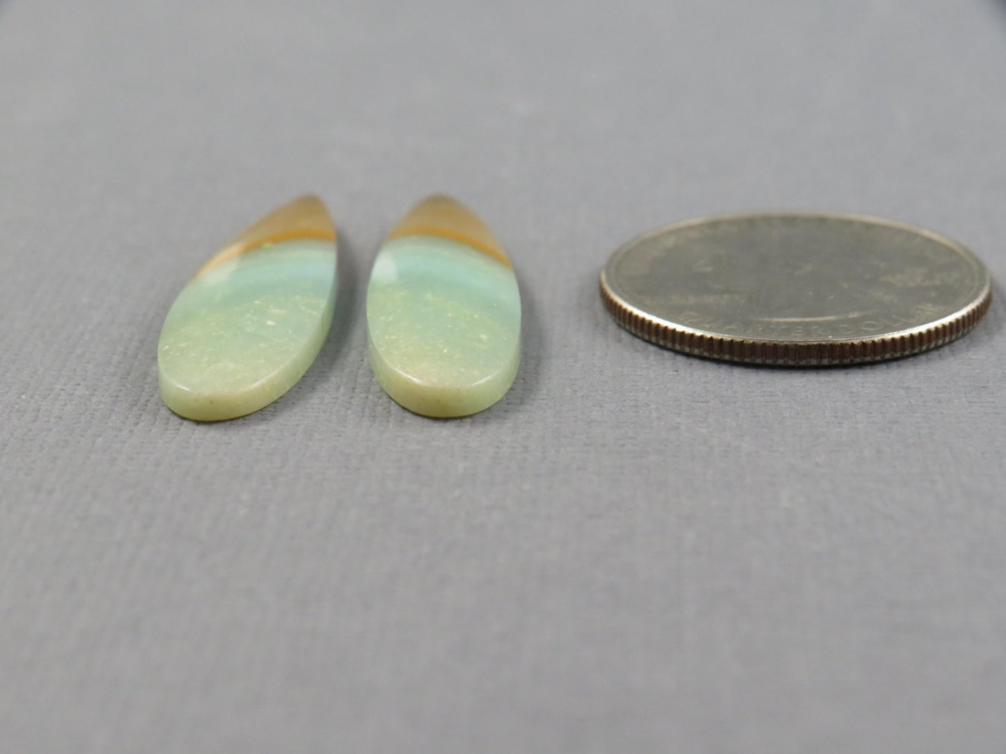 Opalized Wood Pair | Petrified Wood Opal | 35x9mm, 13.9ct | Indonesia | WO258 - Gem Enthusiast