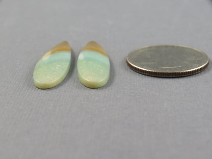 Opalized Wood Pair | Petrified Wood Opal | 35x9mm, 13.9ct | Indonesia | WO258 - Gem Enthusiast