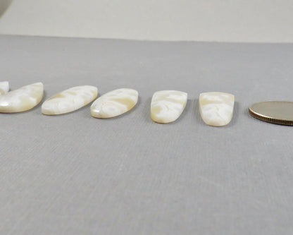 Orbicular Agate Cabochon | Eye Agate | 33.5–34mm, avg 25ct | Per Pair | Indonesia | OA108 - Gem Enthusiast