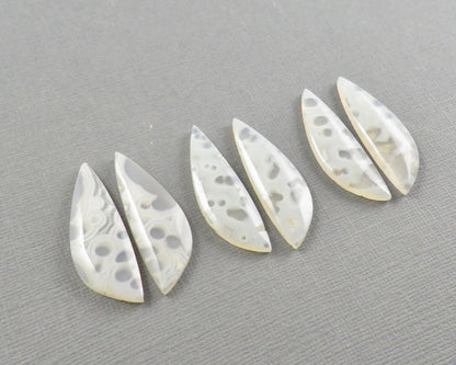 Orbicular Agate Cabochon Freeform | Eye Agate | 33mm, avg 18.87ct | Per Pair | Indonesia | OA109 - Gem Enthusiast