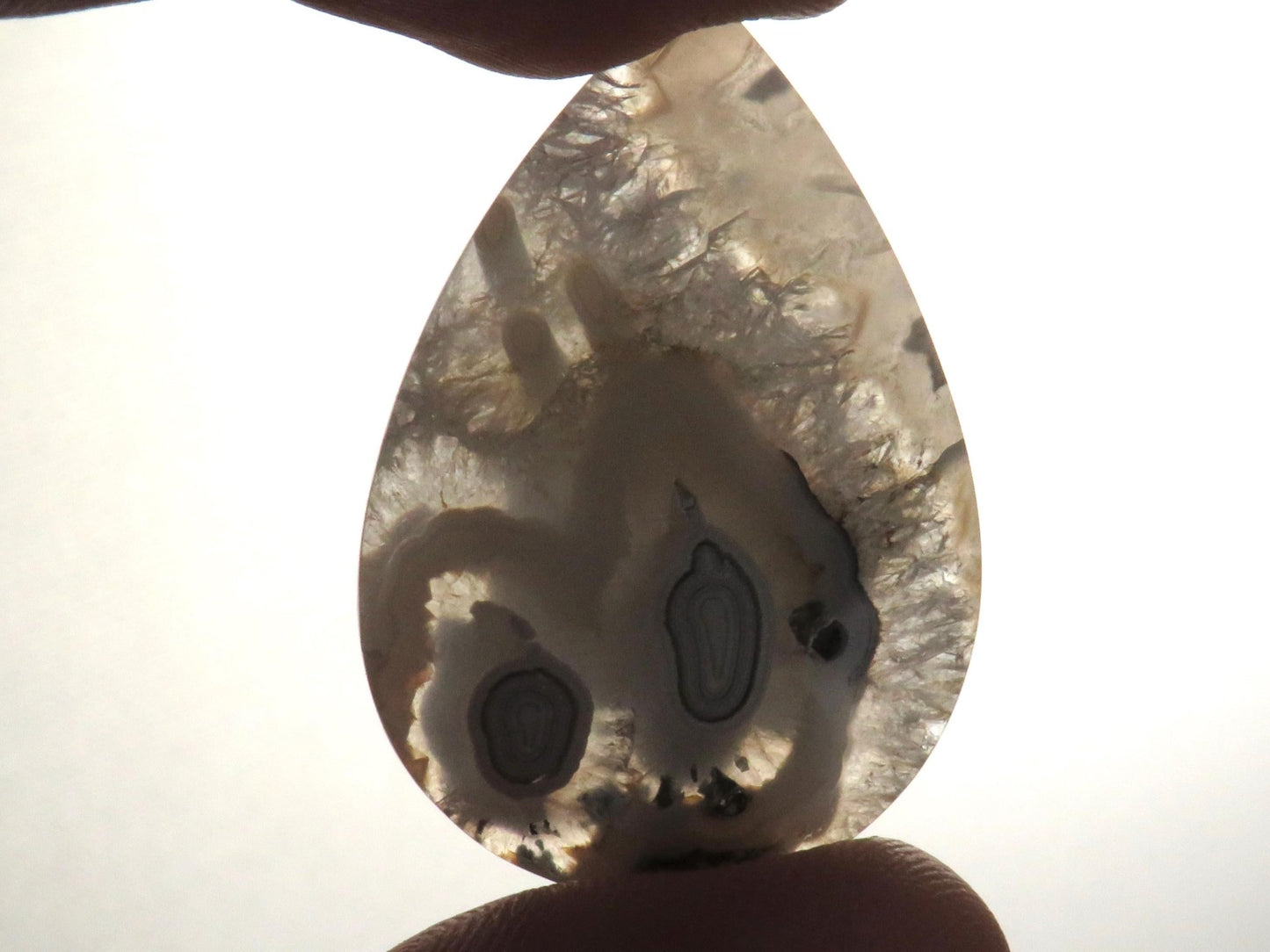 Orbicular Agate Cabochon Pear | Eye Agate | 33x22mm, 28.4ct | Indonesia | OA102 - Gem Enthusiast