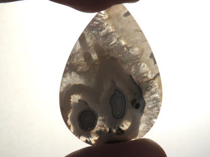 Orbicular Agate Cabochon Pear | Eye Agate | 33x22mm, 28.4ct | Indonesia | OA102 - Gem Enthusiast