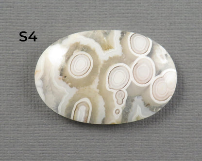 Orbicular Agate Cabochon Round | Eye Agate | 33–44mm, avg 34.40ct | Indonesia | OA104 - Gem Enthusiast