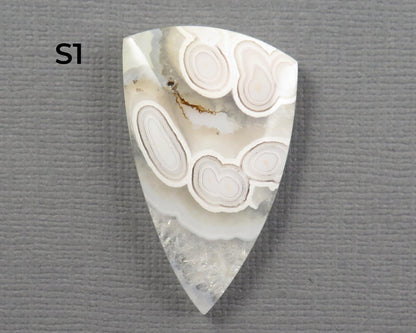 Orbicular Agate Cabochon Round | Eye Agate | 33–44mm, avg 34.40ct | Indonesia | OA104 - Gem Enthusiast