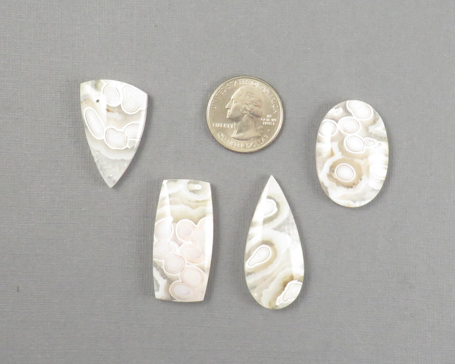 Orbicular Agate Cabochon Round | Eye Agate | 33–44mm, avg 34.40ct | Indonesia | OA104 - Gem Enthusiast