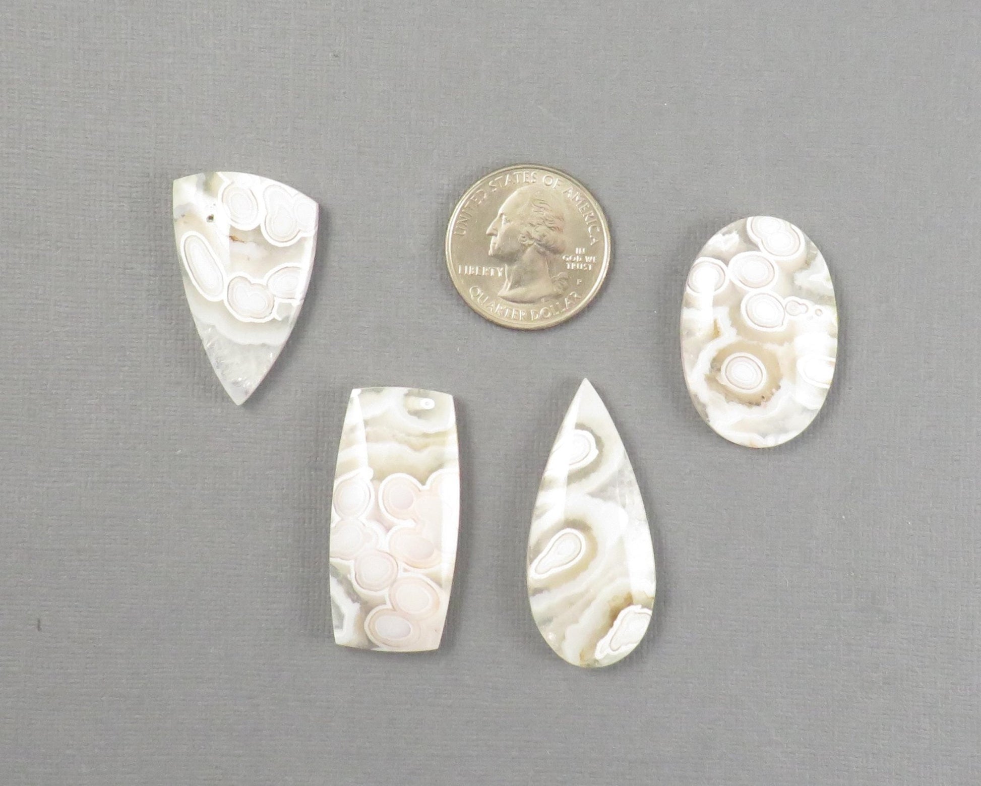 Orbicular Agate Cabochon Round | Eye Agate | 33–44mm, avg 34.40ct | Indonesia | OA104 - Gem Enthusiast