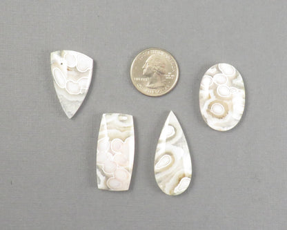 Orbicular Agate Cabochon Round | Eye Agate | 33–44mm, avg 34.40ct | Indonesia | OA104 - Gem Enthusiast