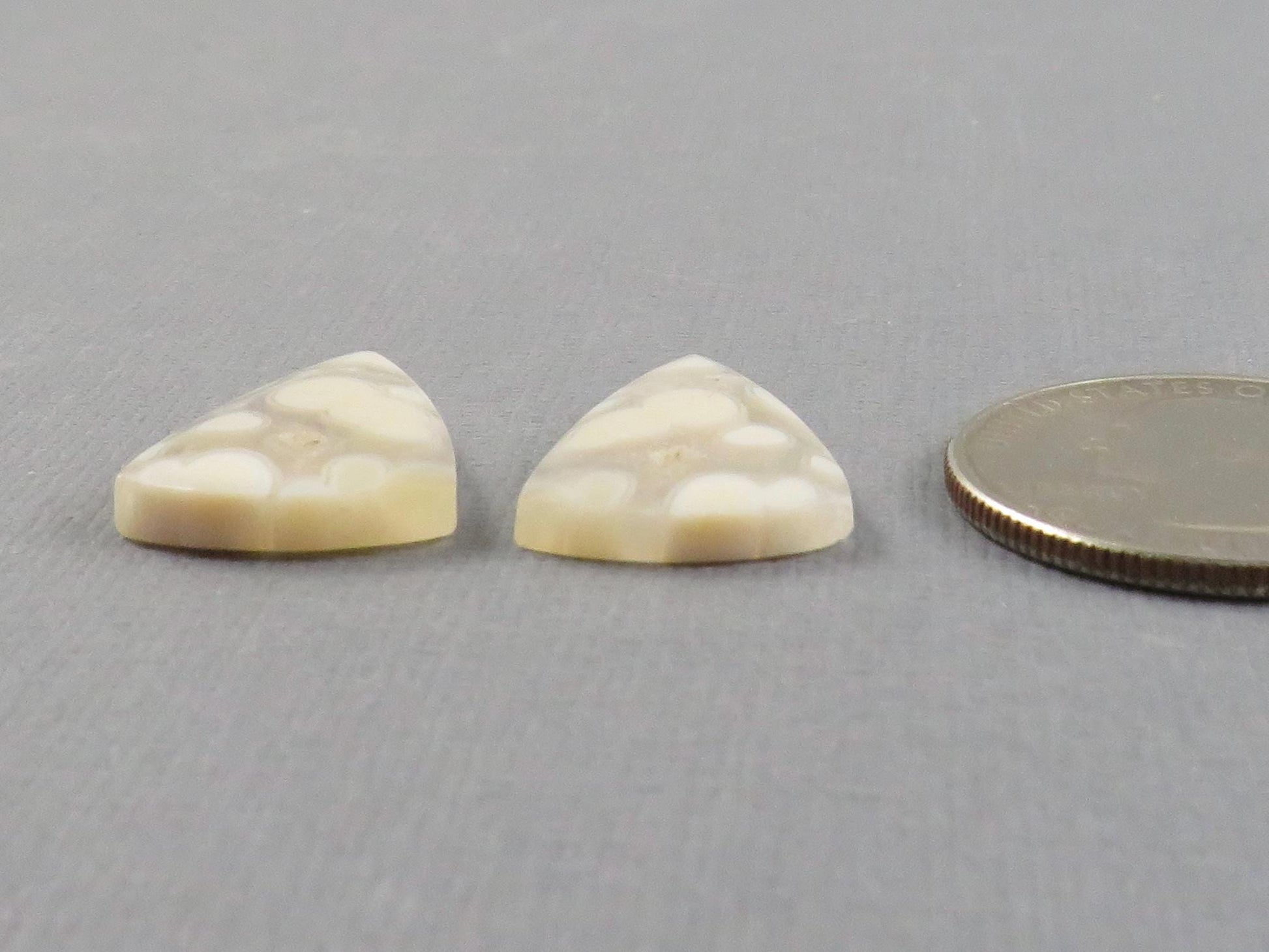 Orbicular Agate Cabochon Triangle Pair | Eye agate | 2215x4mm, 15.9ct | Indonesia | OA107 - Gem Enthusiast