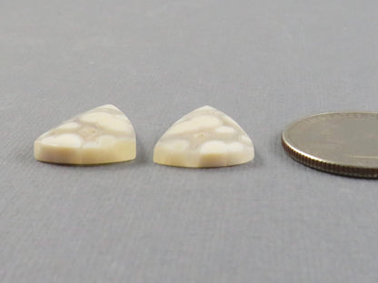 Orbicular Agate Cabochon Triangle Pair | Eye agate | 2215x4mm, 15.9ct | Indonesia | OA107 - Gem Enthusiast