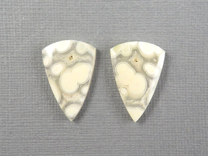 Orbicular Agate Cabochon Triangle Pair | Eye agate | 2215x4mm, 15.9ct | Indonesia | OA107 - Gem Enthusiast