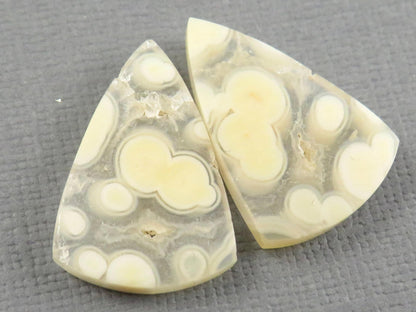 Orbicular Agate Cabochon Triangle Pair | Eye agate | 2215x4mm, 15.9ct | Indonesia | OA107 - Gem Enthusiast