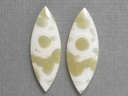 Orbicular Moss Agate Cabochon Pair | Marquise | 33.5x12.5mm, 17.3ct | Indonesia | OA111 - Gem Enthusiast