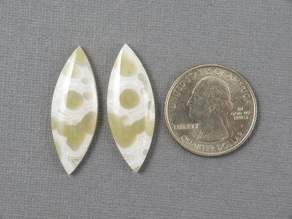 Orbicular Moss Agate Cabochon Pair | Marquise | 33.5x12.5mm, 17.3ct | Indonesia | OA111 - Gem Enthusiast