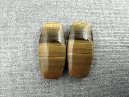 Oregon Blue Mountain Jasper Pair | Mined in the USA | JS323 - Gem Enthusiast