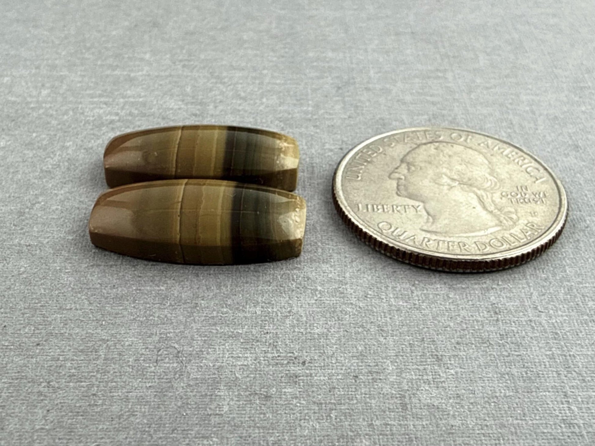 Oregon Blue Mountain Jasper Pair | Mined in the USA | JS323 - Gem Enthusiast